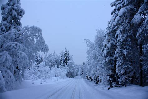 pano kuvia|Ilmaisia kuvia Suomesta